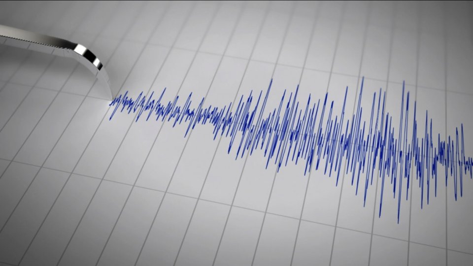 Module Vrancea Cutremur de 3,2 grade, în judeţul Vrancea | Știri locale | Radio România